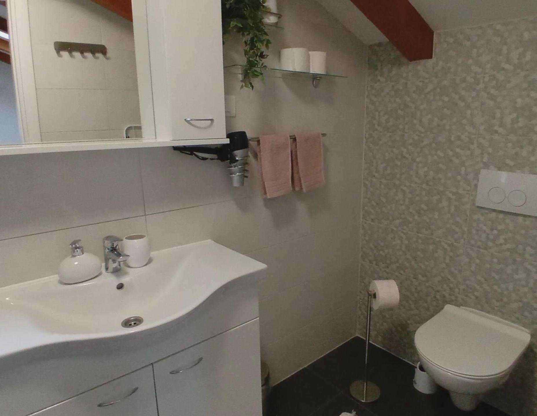 PUY Apartman Diana,Free Parking מראה חיצוני תמונה